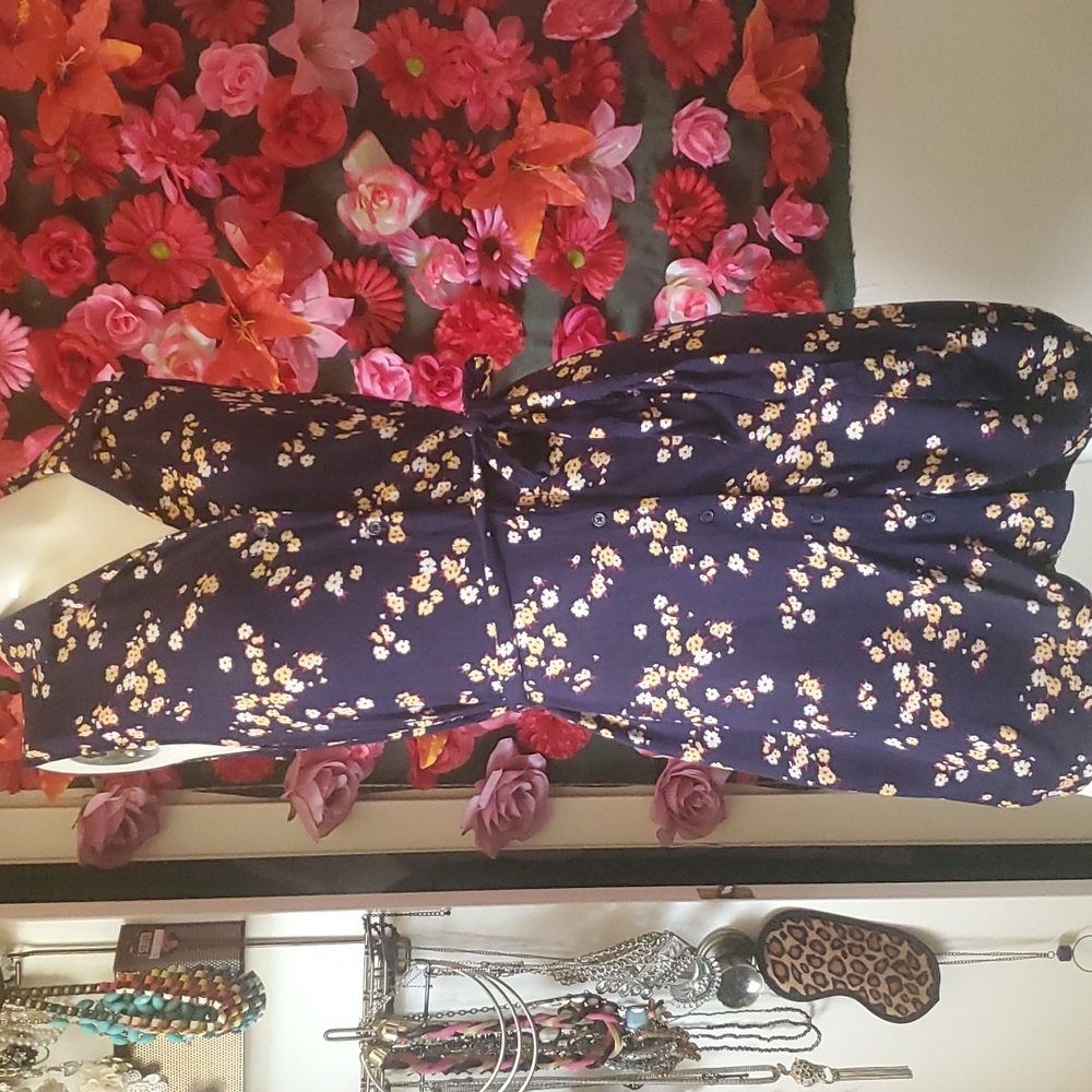 PopSuger Spring Dress